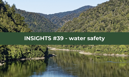 An image of a river with the copy INSIGHTS 39: Water Safety