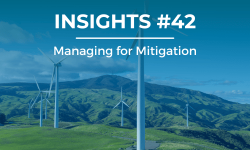 A windfarm with the copy Insights #42 Managing for Mitigation