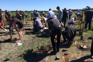 A group of people plant trees
