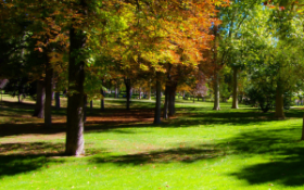 A park with green grass and trees of orange and green