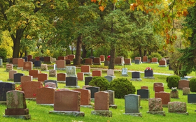 A cemetery